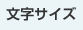 文字サイズ